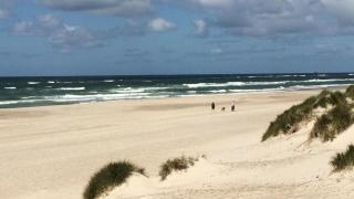 Villavilla 1007 - Henne Strand, Vestjylland - 2