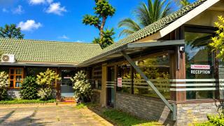 The Rain Tree resort - 8