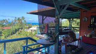 Fare mato Tahaa - 9