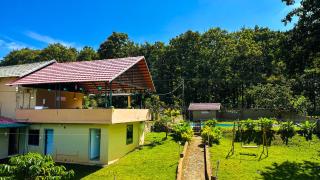 The Rain Tree resort - 3