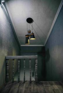 SafeHaven Arena - 1