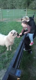 Bluegum Lodge Farmstay, Oamaru - 3