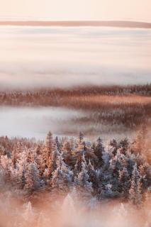 Ruka Hideaway by Hilla Villas - 3