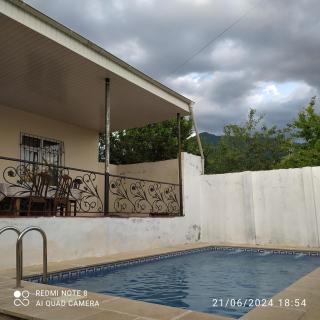 Gabala,yard, house - 8