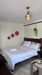 Salma Bnbs Studio House - 3