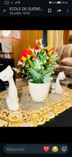 Paisible Appartement COCODY ANGRE 2 ET 3 CHAMBRES SALON - 2