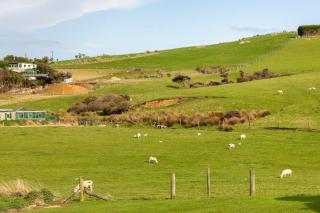 The Classic Kiwi Crib - 7