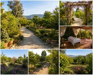 Oasis Privado de Naturaleza, Piscina y Jacuzzi - 7