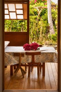 Pension Bounty Rangiroa - Art Gallery & Tropical Garden - 4