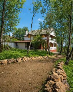 Villa Nest Uludağ - 7