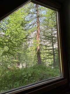 Cervinia Forest Retreat - 7