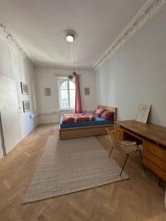 Beautiful apartment 3 bedrooms - 3