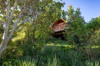 Abalone Lodges - 8