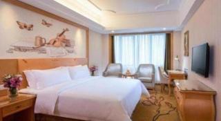 Vienna Hotel Shenzhen Pinghu Center Metro Station - 3