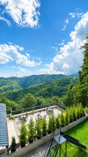 The Mukteshwar Inn Resort - 1