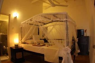 Oasis Ayurveda Beach Hotel - Ambalangoda - 5