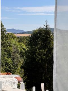 Luxury Apartment Green - cicha dzielnica przy parku - 5