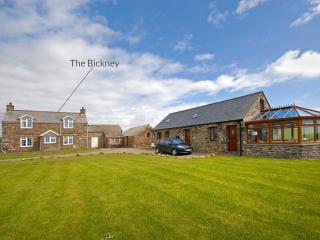Il Bickney - 1