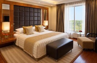 Hotel Premier East Stay Delhi Airport - 9