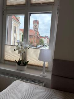 Apartamenty Różane Arkady - 8