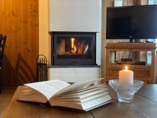 Bright 2-Bedroom With Terrace And Fireplace - 8