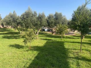Villa Tizra - Guest house - Aïn el Ksob - 1