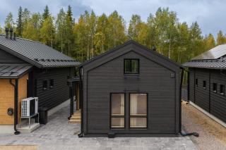 Villa Olli - 9