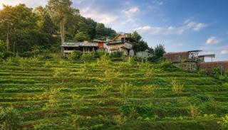 Nj homestay - 8