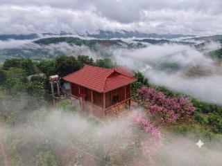 Hướng Phùng Homestay - 0