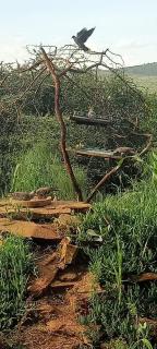 Ndege Mingi Bush Camp - Laikipia - 3
