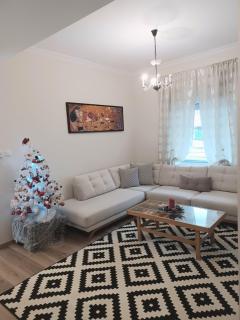 Vaios house - 8