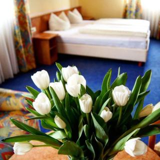 Hotel-Cafe Rathaus - Bad Abbach - 9