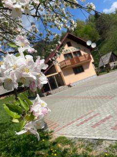 Casa Tara - 0