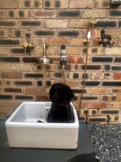Y Golchdy, romantic cottage style cabin, spa hot tub, Mountain Views, dog friendly - 1