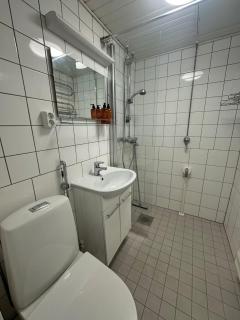 Porot laukkaa - Valtakatu - 1
