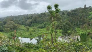Crestview homestay coorg - 7