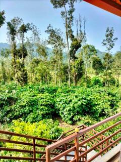Crestview homestay coorg - 2