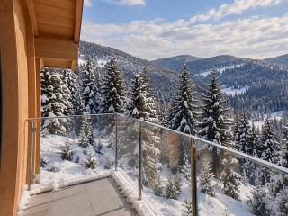 Renalia home in Kopaonik - 3