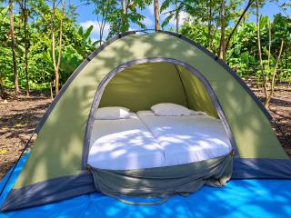 Jungle Camp - 1