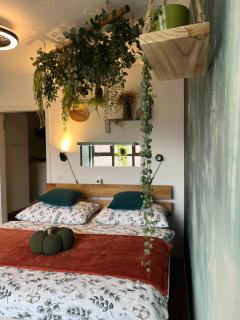 Wildcomfort Jungle - Brno - 5