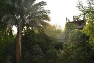 Ahmed House - 8