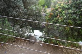 Ahmed House - 4