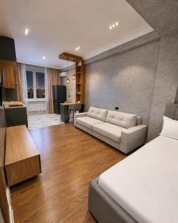 Modern Studio with Tashkent TV Tower View - 8