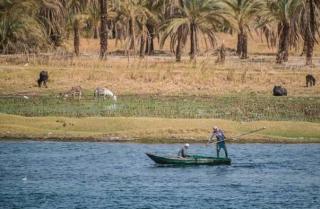 Nile Cruise trip Every Monday from Luxor Friday from Aswan - 4