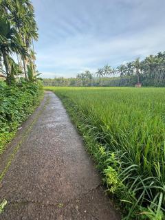 StayatPadyVillage - 0