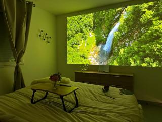 Suite Jacuzzi Giverny Paris - 8