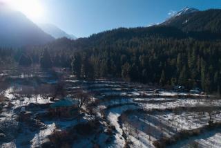 Thelosttrail - 8