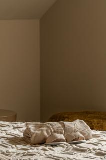B&B Coxhoeve - 8