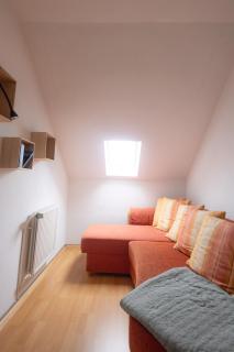 Ferienwohnung - Apartment Nickelswiese - 1