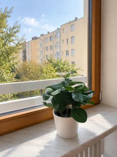 Rooftop Apartments - Stillvolles Apartment 4P nahe Glacis Center - Neu-Ulm - 4